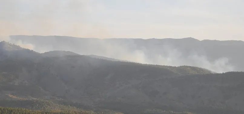 Şırnak'ta 10 terörist etkisiz hale getirildi