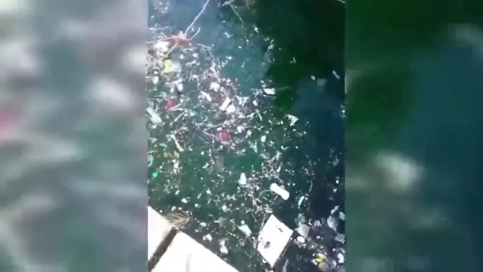 CHP’li İBB şehrin sorunlarına gözlerini yumdu! Bebek sahilinde büyük rezalet