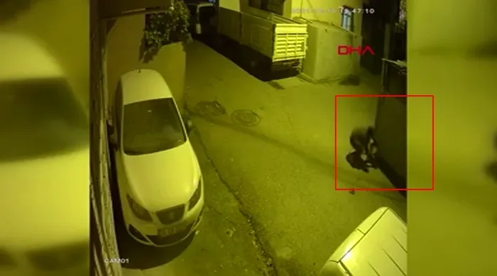 Köpeğin boğazını sıkıp işkence yaptı! Pendik'deki o anlar kamerada - 3