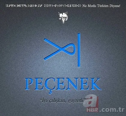 Türklerin soyu nereden geliyor? İşte şehir şehir Türk boyları...