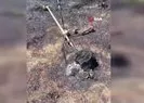 Tırpan motoru fındık bahçesini yaktı