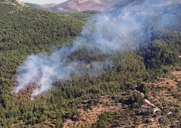 Milas’ta korkutan orman yangını!