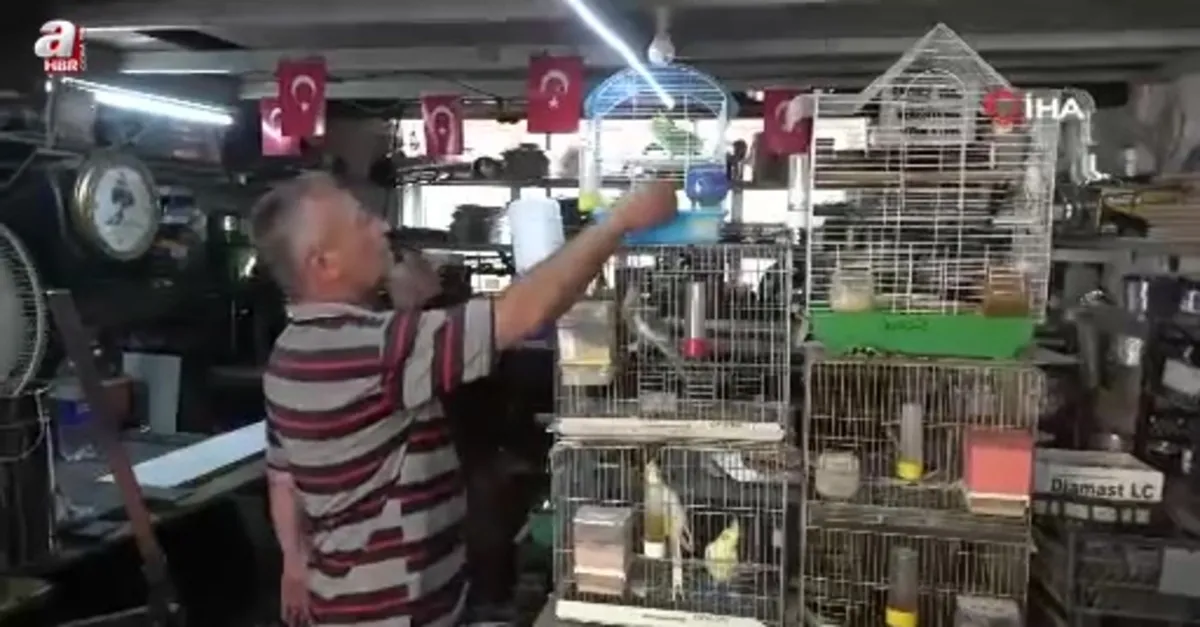 Soba ve mangal ustasının kuş sevgisi