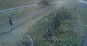 Kaçan kurbanlığın peşinden gitti kayboldu!