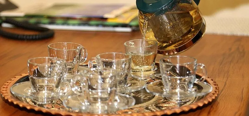 Beyaz çay yurt dışına yok satıyor