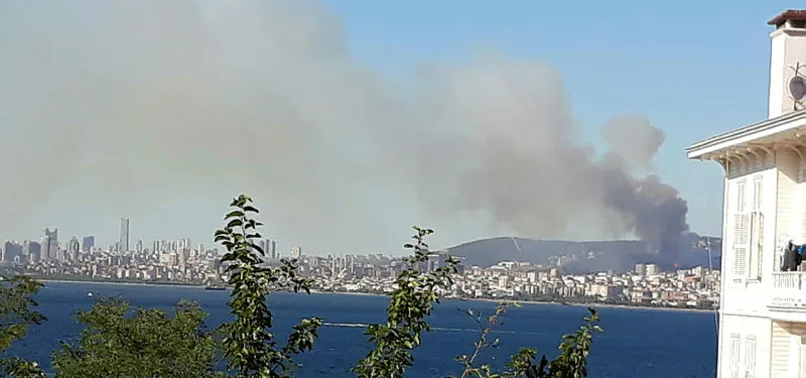Son dakika: Maltepe'deki orman yangını kontrol altına alındı
