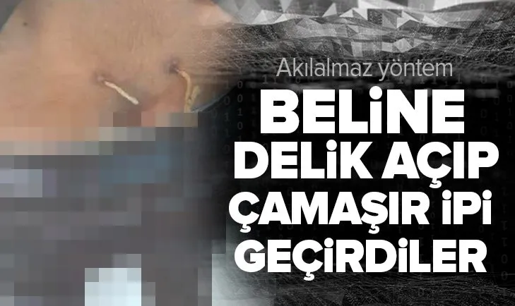 Beline delik açıp çamaşır ipi geçirdiler! Akılalmaz yöntem