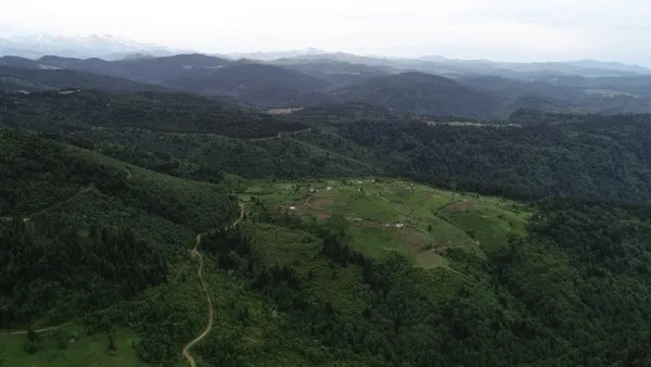 Karadeniz’de PKK alarmı! Yaylacılara bu uyarı yapıldı: Evde erzak bırakmayın - 3