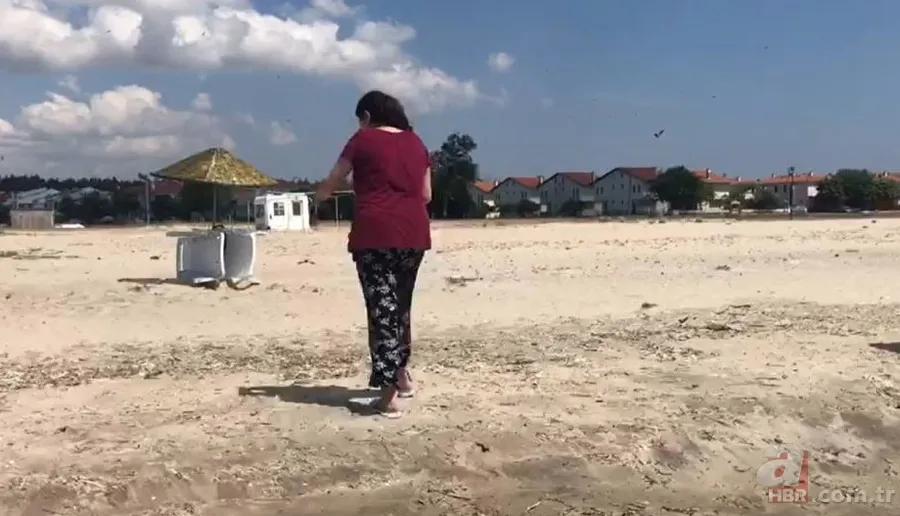 Tekirdağ’da uğur böceği istilası! Isırıyor: Tatilciler panik içinde🐞 6