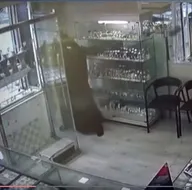 Çarşaflı gaspçılar suç makinesi çıktı