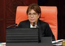Alman polisinden TBMM başkanvekili saygısızlık!
