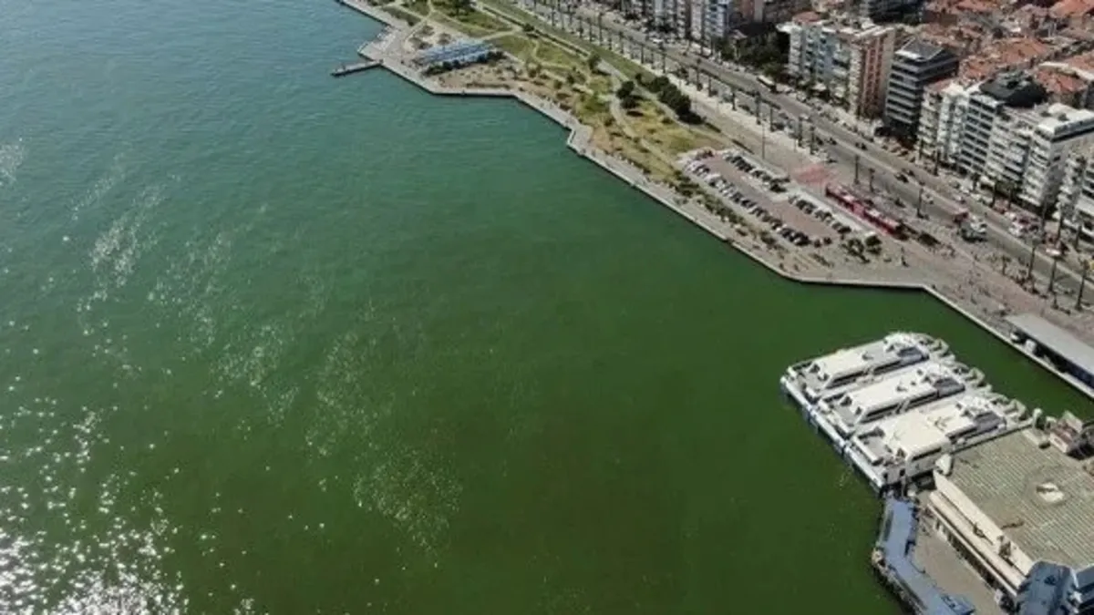 İzmir Körfezi'nde çevre sorunları yine gündemde! İhmaller devam ediyor...