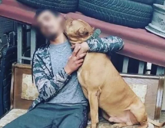 denizde-saldiran-pitbull-oldurdu-iddiasina-takipsizlik-karari-cikti-1669615312296.jpg ‘Denizde saldıran pitbull öldürdü' iddiasına takipsizlik kararı çıktı - 1