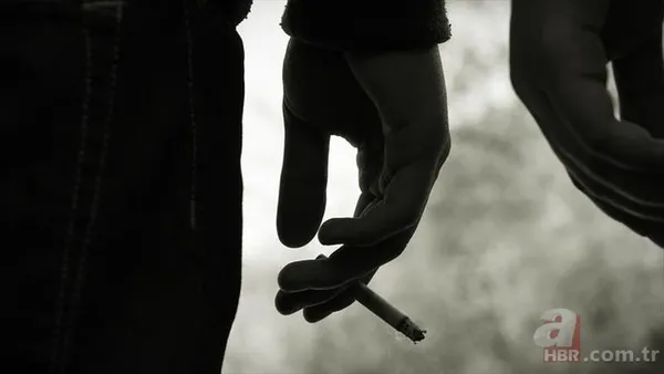 sigara-zammi-son-dakika-9-eylul-2023-sigara-fiyatlari-ne-kadar-kac-tl-oldu-iste-en-ucuz-ve-en-pahali-sigara-fi-1694262922837.jpg Sigara zammı sonrası güncel fiyatlar 2023 | Sigaraya kaç TL zam geldi? En ucuz ve en pahalı sigara fiyatları... - 3