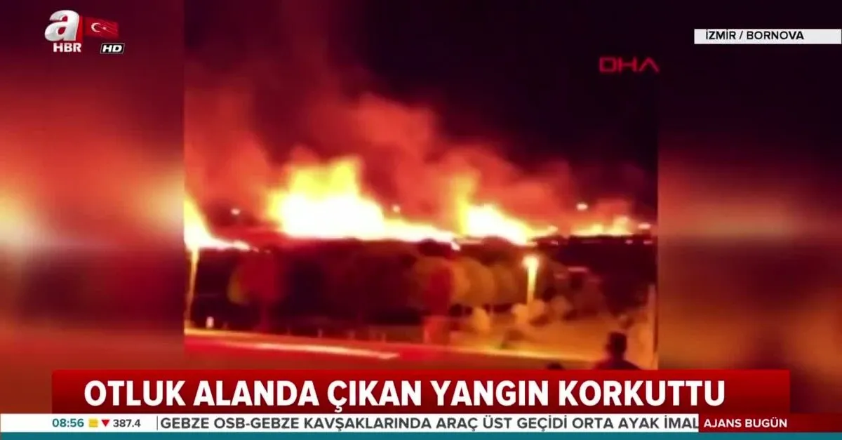 Son Dakika Izmir De Korkutan Yangin Rekreasyon Alaninin Yakininda Video Ahaber Video Izle