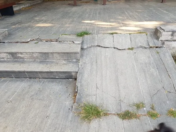 CHP’li İBB kaderine terk etti: Yıldız Korusu can çekişiyor