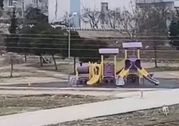 Okula giden çocuğa sokak köpekleri saldırdı!