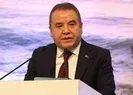 Muhittin Böcekin ifadesi ortaya çıktı!