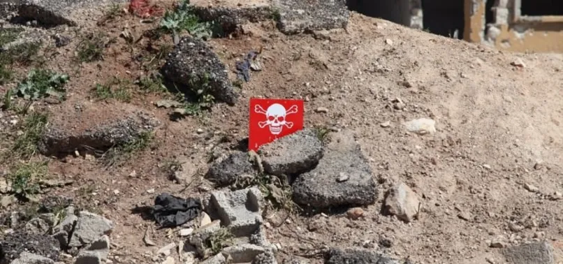 4 ülkeden ortak Han Şeyhun açıklaması