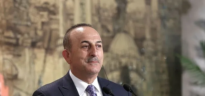 Dışişleri Bakanı Çavuşoğlu, Fransız mevkidaşı Colonna ile görüştü