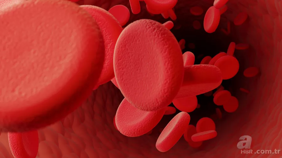 Kaçış sendromu hastalığı ne demek? Mehmet Ali Erbil hastalığı nedir? 6