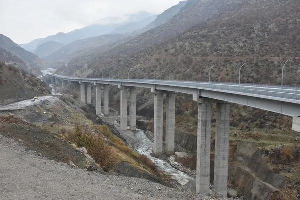 Son dakika | Başkan Erdoğan’dan önemli açıklamalar! Bitlis Çayı Viyadüğü hizmete girdi