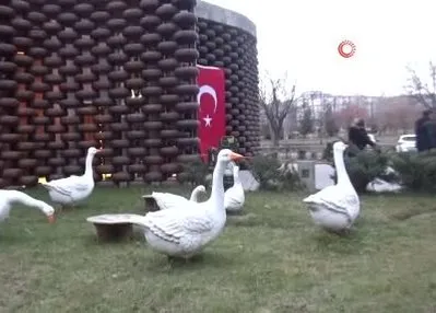 Peynir Müzesi yoğun ilgi görüyor