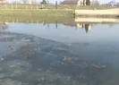 Tunca Nehri buz tuttu!