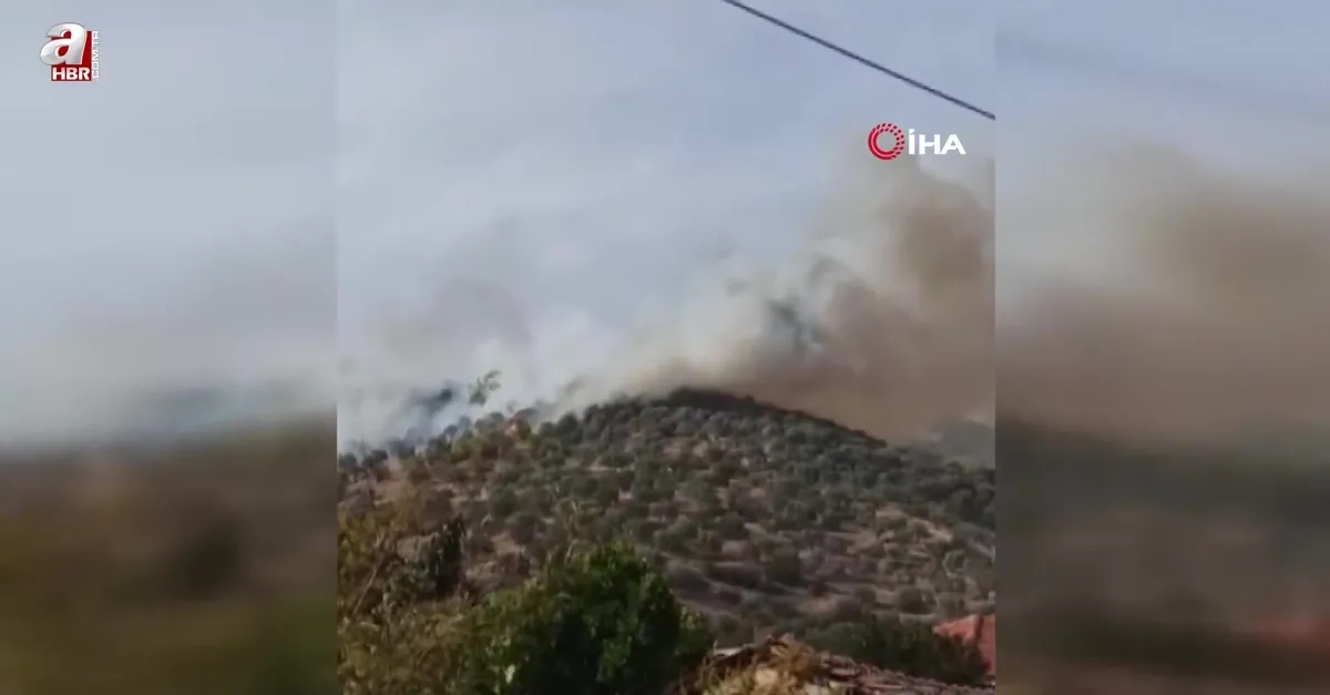 Bozdoğan'da orman yangını
