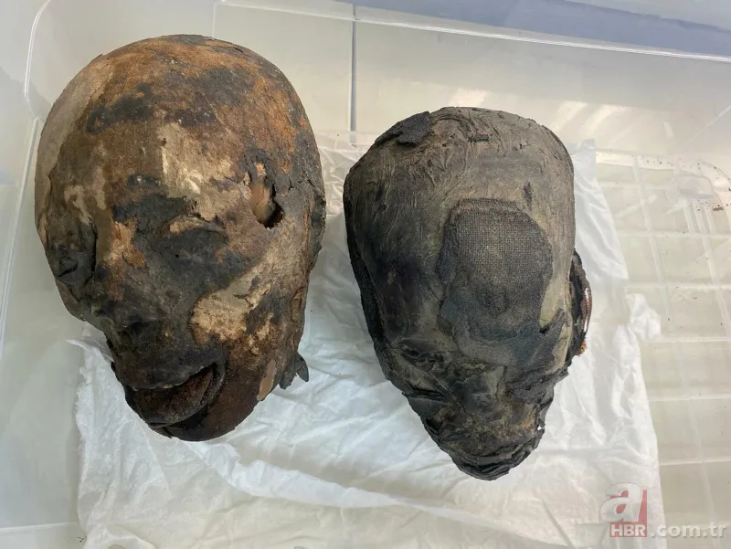 İzmir’de ele geçirilen 'Tsantsa'lar ile ilgili karar verildi! İade edilecekler 3