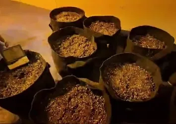 Sakarya’da uyuşturucu operasyonları: 110 gözaltı