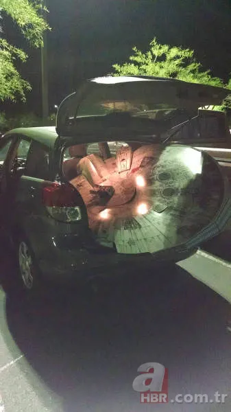 Günün ilginç kareleri 14