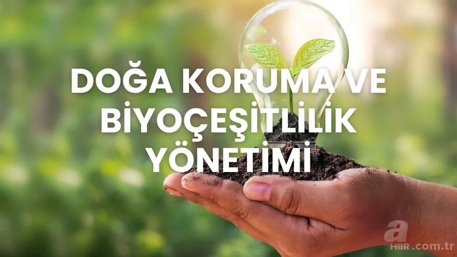 YÖK Başkanı'ndan flaş duyuru! 2025 YKS’de bu bölümler ilk kez tercih listesinde olacak 2