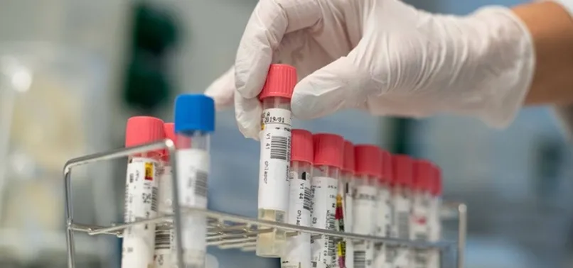 Koronavirüs salgınında Batı’nın gerçek yüzünü görenler, Türkiye’ye gelmek için yalvardılar