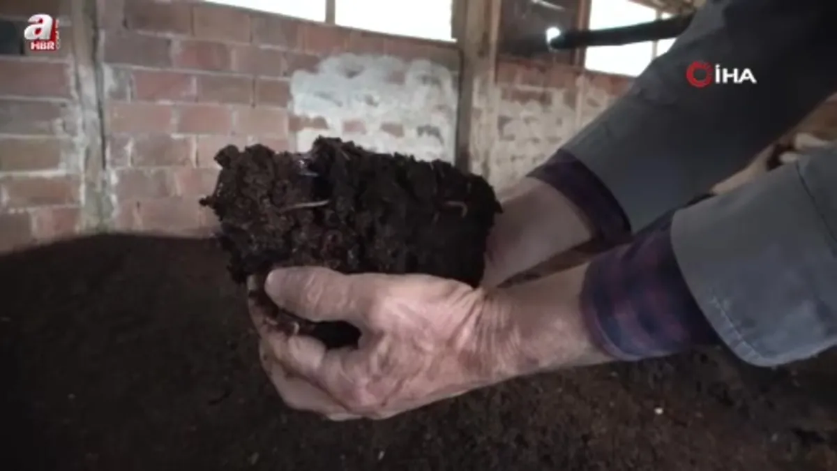 Malatya'da sıvı solucan gübresiyle tarımda yüzde 30 verim artışı