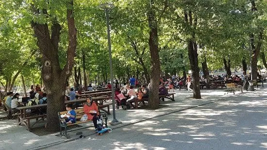 Son dakika: Çankaya'da park isyanı! Sosyal medyada kıyamet koptu: Vatandaşlardan Mansur Yavaş'a sert tepki - 2