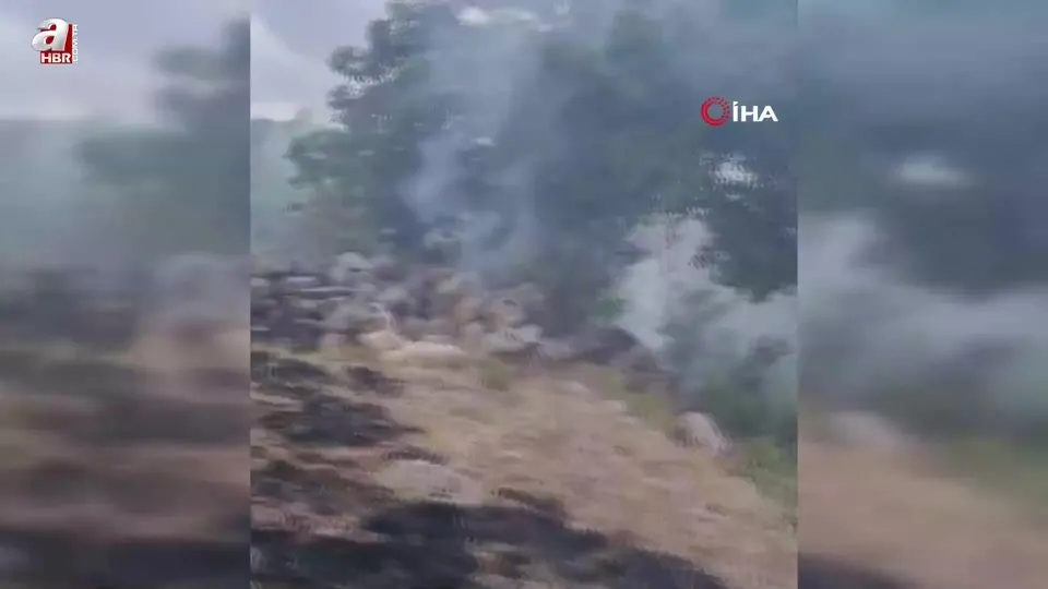 Ormana sıçrayan anız yangını korkuttu