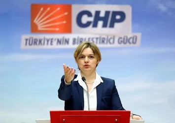 Selin Sayek Böke'nin istifasının perde arkası