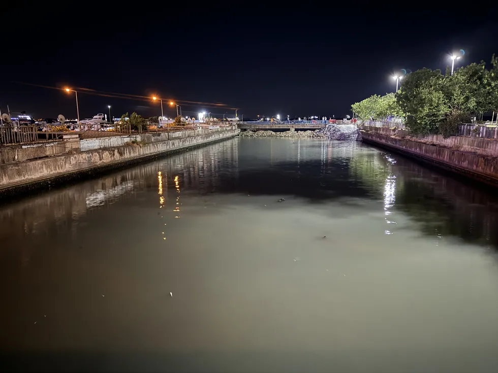 Bakırköy'de Çırpıcı Deresi'nde toplu balık ölümleri: AFAD inceleme başlattı - 2