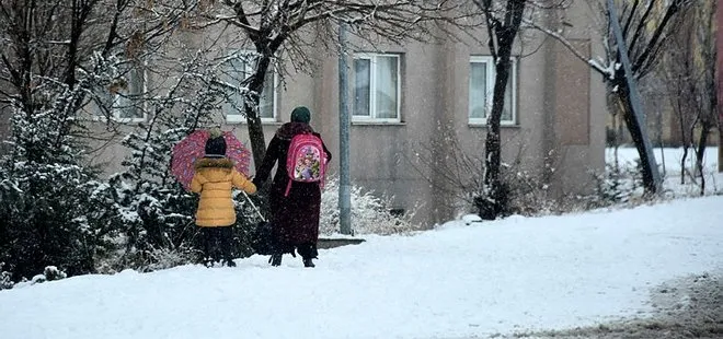 27 Aralık Nevşehir’de okullar tatil mi? Nevşehir yarın okullar tatil mi kar tatili için açıklama var mı?
