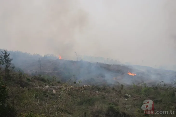 Hatay’daki orman yangını söndürüldü! 2 kişi tutuklandı