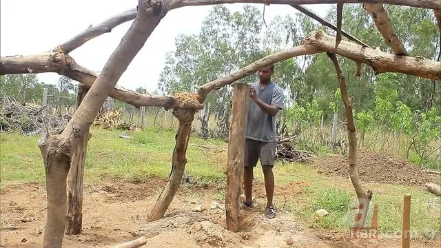 Öyle bir şey yaptı ki! Herkes hayran kaldı... 19