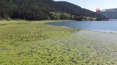 Bolu son 94 yılın en sıcak gününü yaşadı!