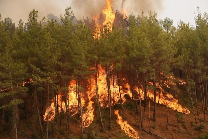 Antalya, Manavgat, Köyceğiz, Çökertme, Marmaris, Muğla orman yangınlarında son durum