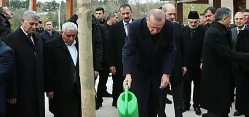 Başkan Erdoğan, 11 Kasım'ı Milli Ağaçlandırma Günü ilan etti
