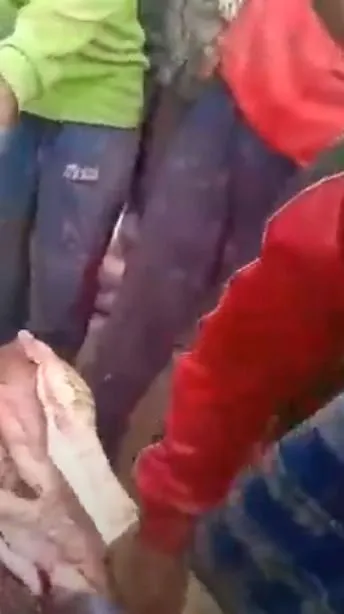 Timsahın karnından insan çıktı! Kan donduran anlar böyle görüntülendi...