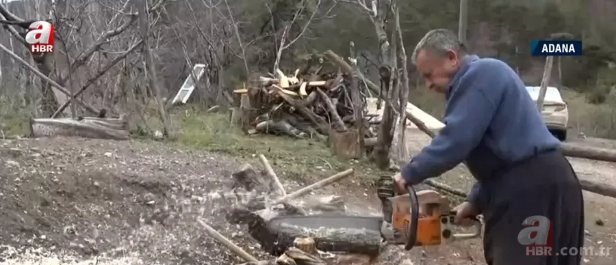 Ağaçlar onun elinde şekilleniyor! Şimşir ağaçlarından... 1