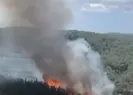Kağıthane’de ağaçlık alanda yangın