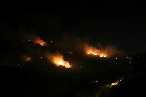 Tarım ve Orman Bakanı İbrahim Yumaklı: Hatay Belen’deki orman yangını büyük oranda kontrol altına alındı