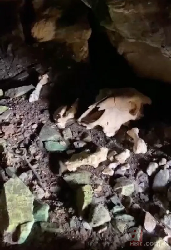 Çoban toprak kayınca keşfetti! Milattan önce 10 bin yılından kalma tatlı bulundu 11